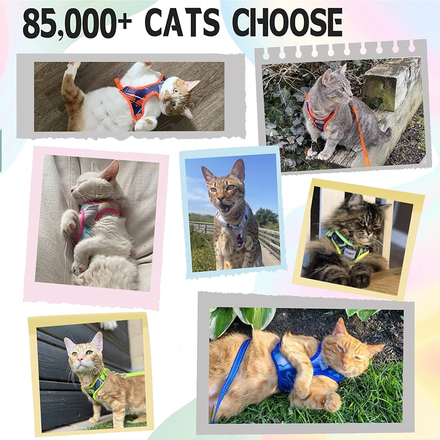 Escape-Proof Cat Harness and Leash Set – Adjustable Soft Mesh Vest for Cats & Kittens