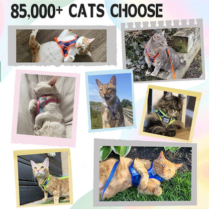 Escape-Proof Cat Harness and Leash Set – Adjustable Soft Mesh Vest for Cats & Kittens
