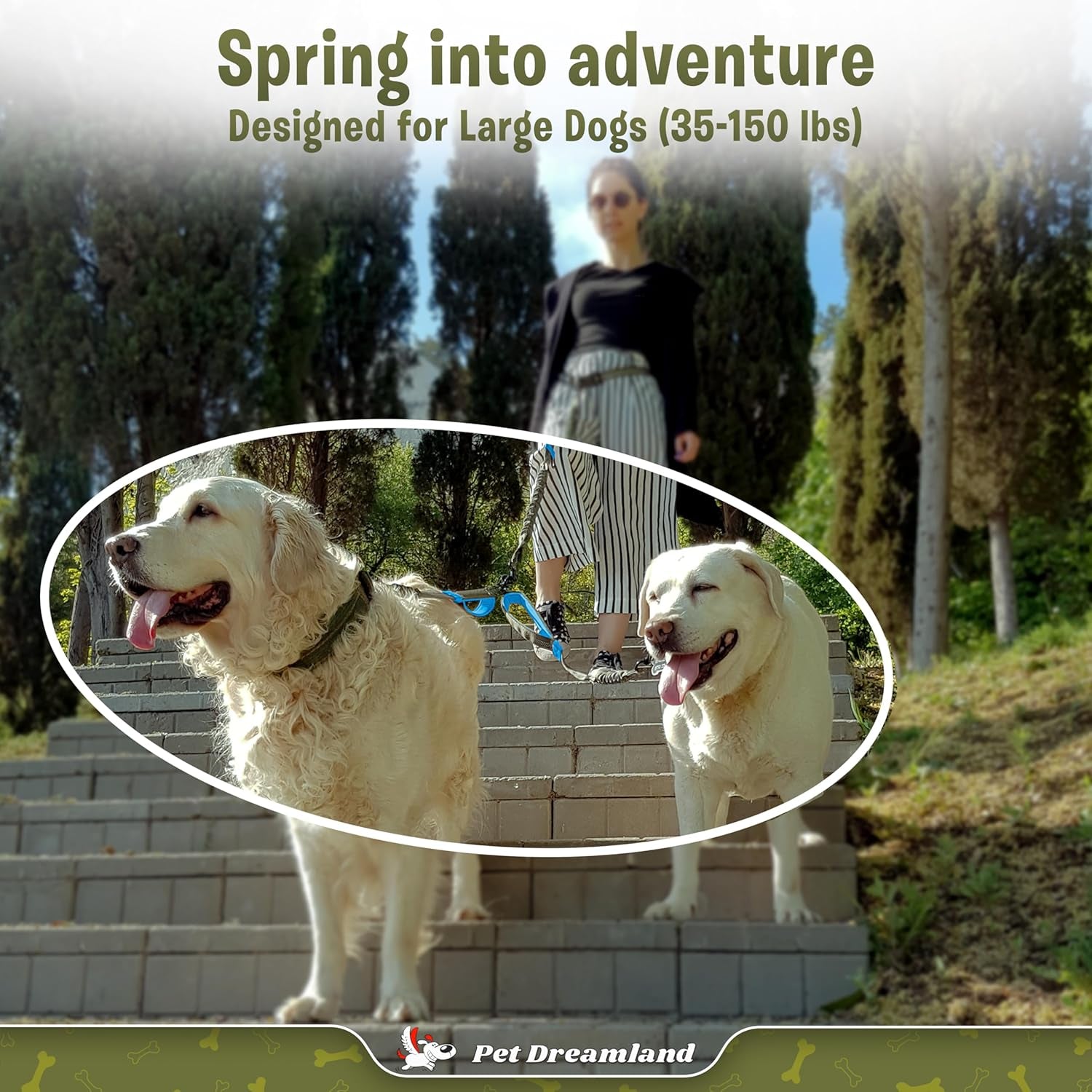 Premium Tangle-Free Leash Coupler for Two Large Dogs - Dual Attachment for Effortless Walks (Grey & Blue)